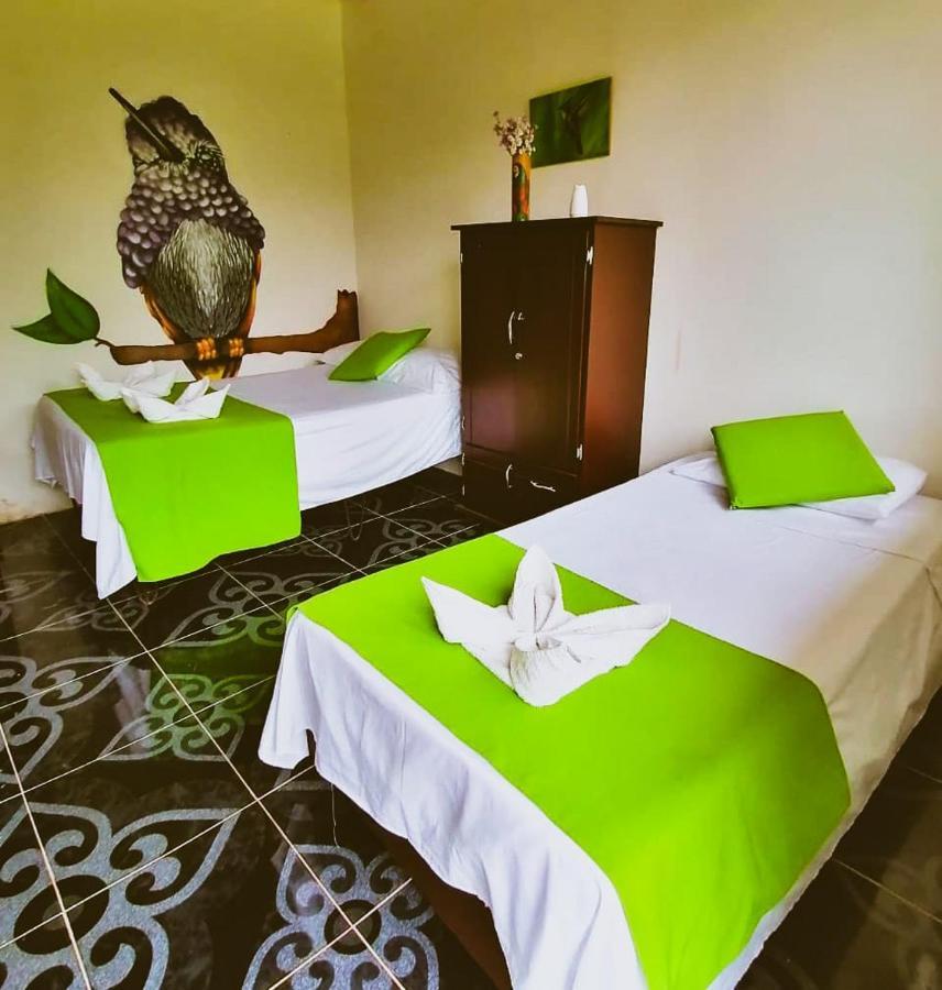 Ecohotel Colibri Salento Luna Park Luaran gambar