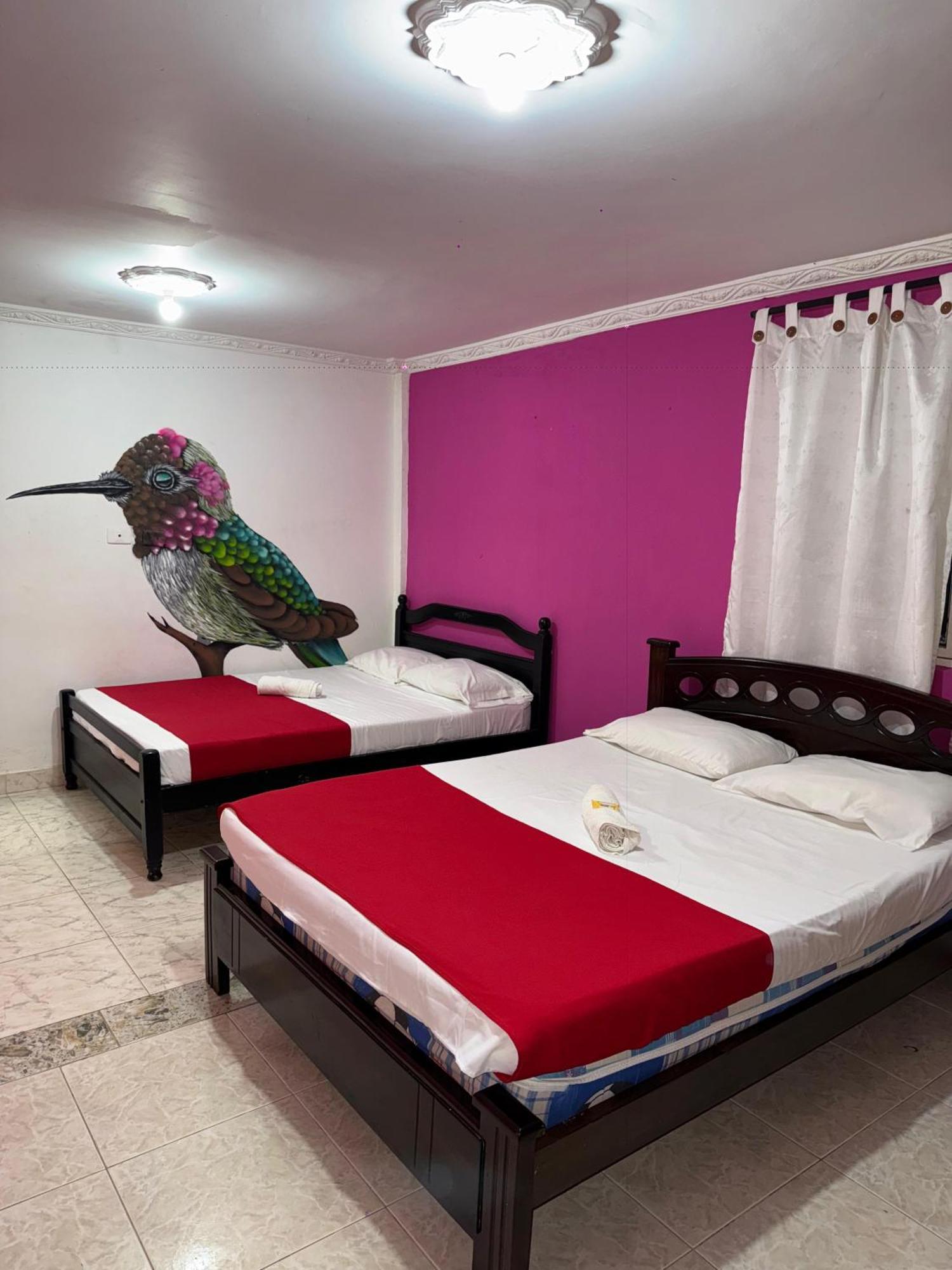 Ecohotel Colibri Salento Luna Park Luaran gambar