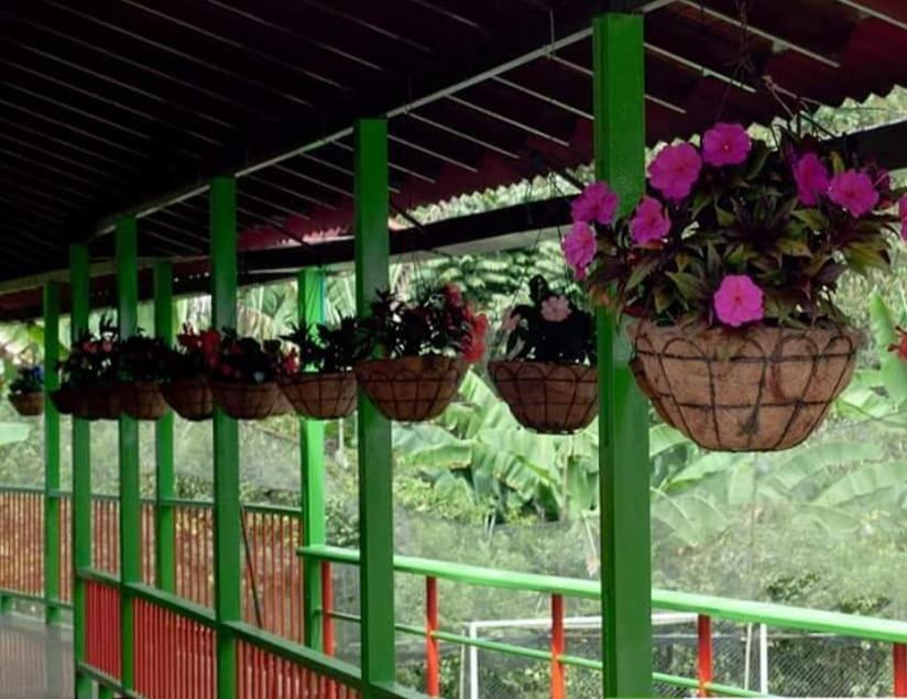 Ecohotel Colibri Salento Luna Park Luaran gambar